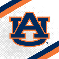 Auburn University - Degree Programs, Accreditation, Applying, Tuition ...