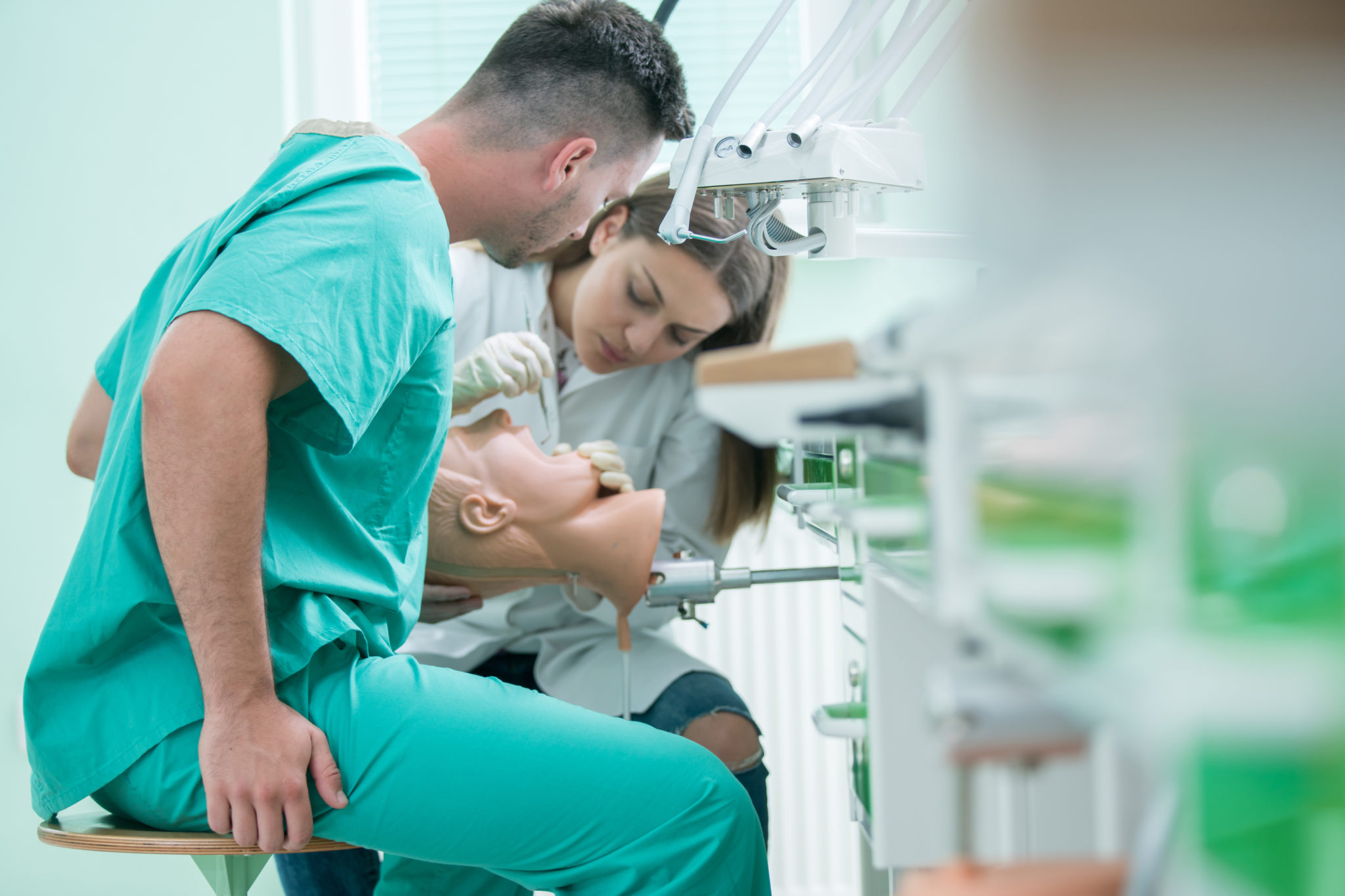 What To Major In To Become A Dentist Best Degree Programs