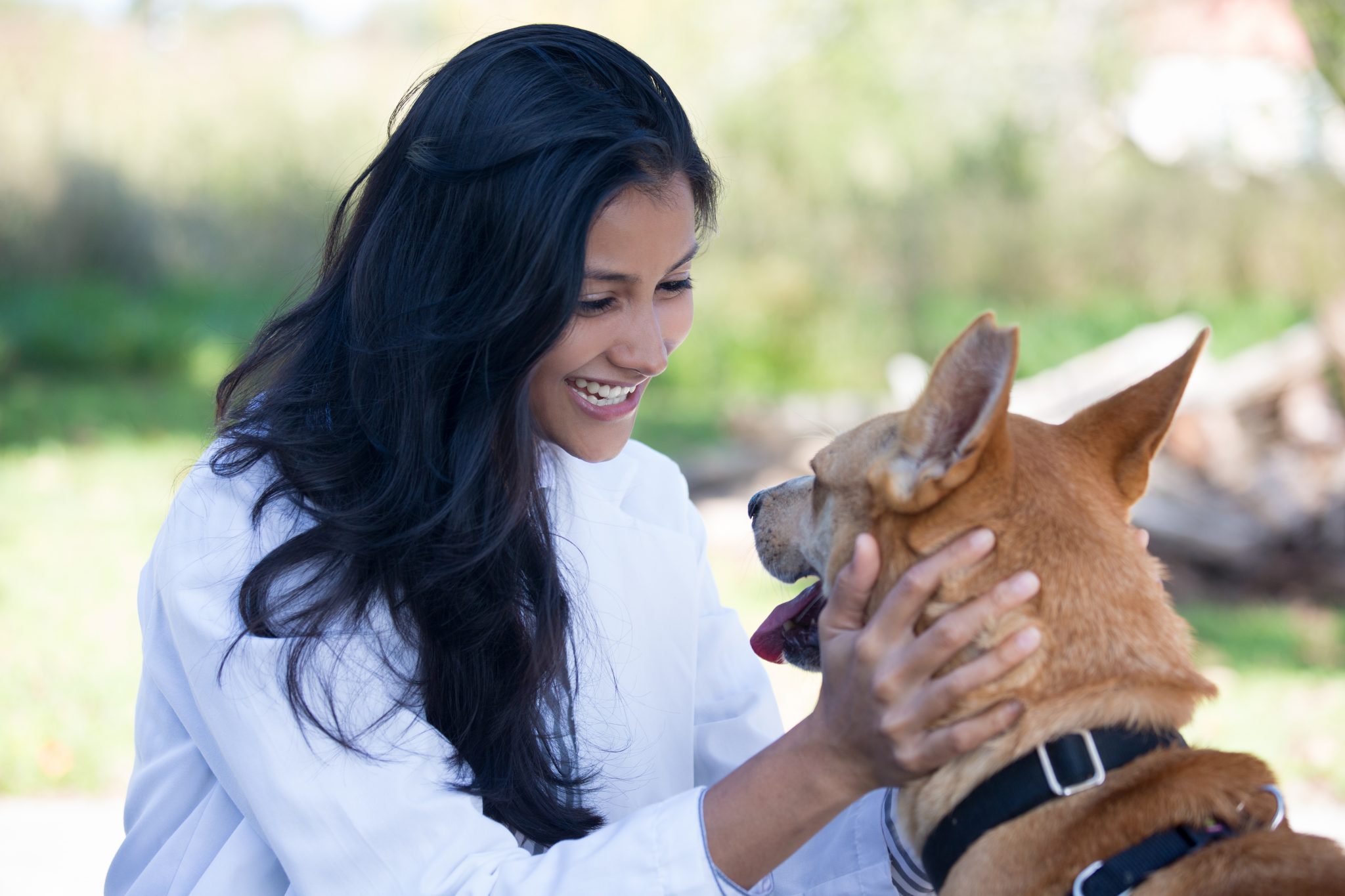 what-is-the-best-degree-for-becoming-an-animal-care-worker