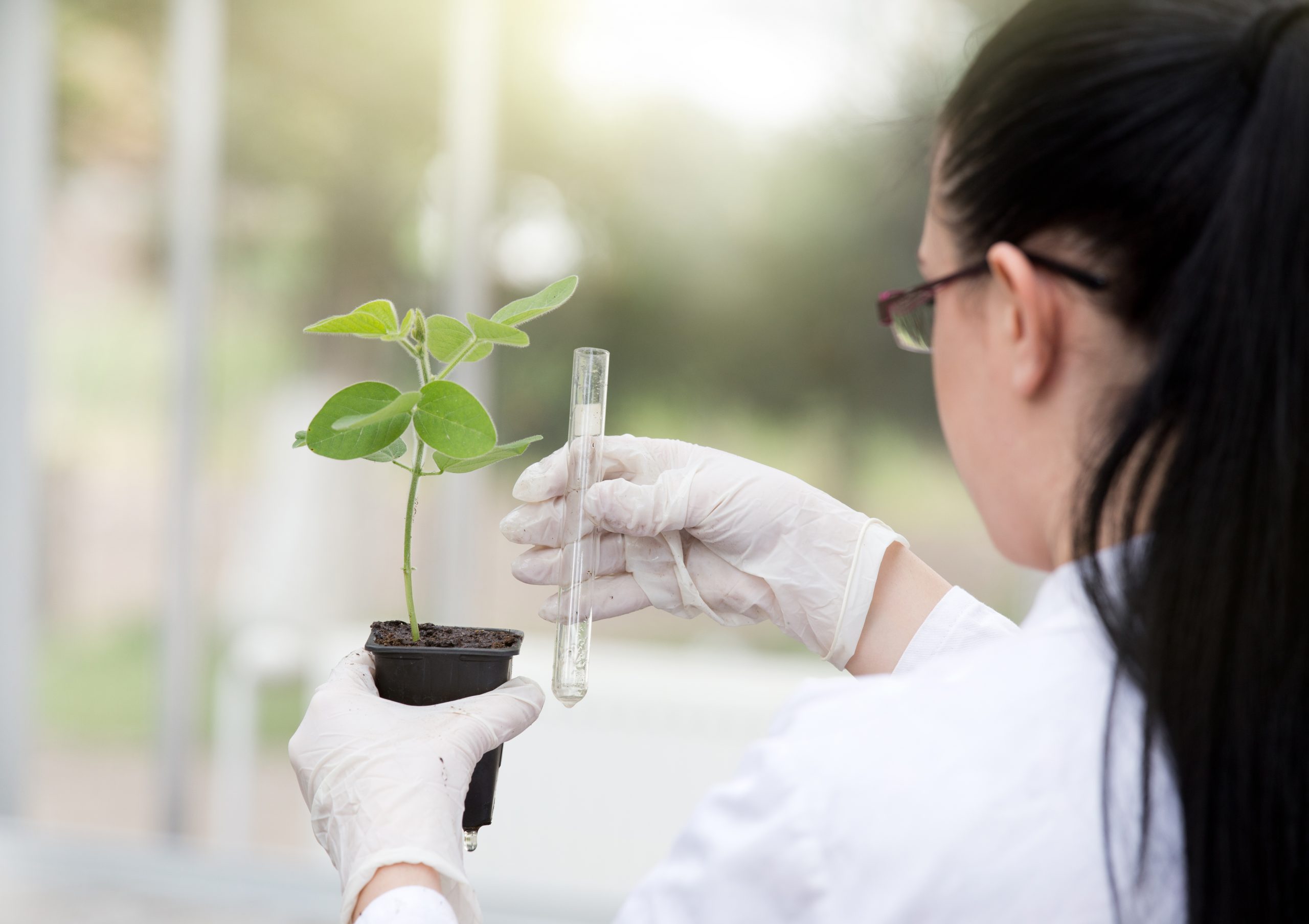 What Is The Best Degree For Becoming An Agricultural Scientist 