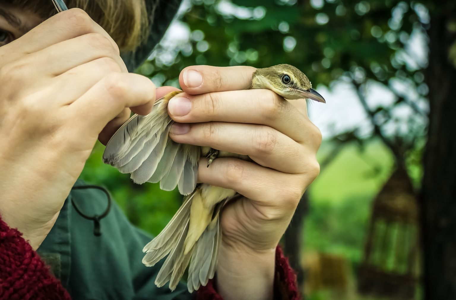 what-is-the-best-degree-for-becoming-a-zoologist